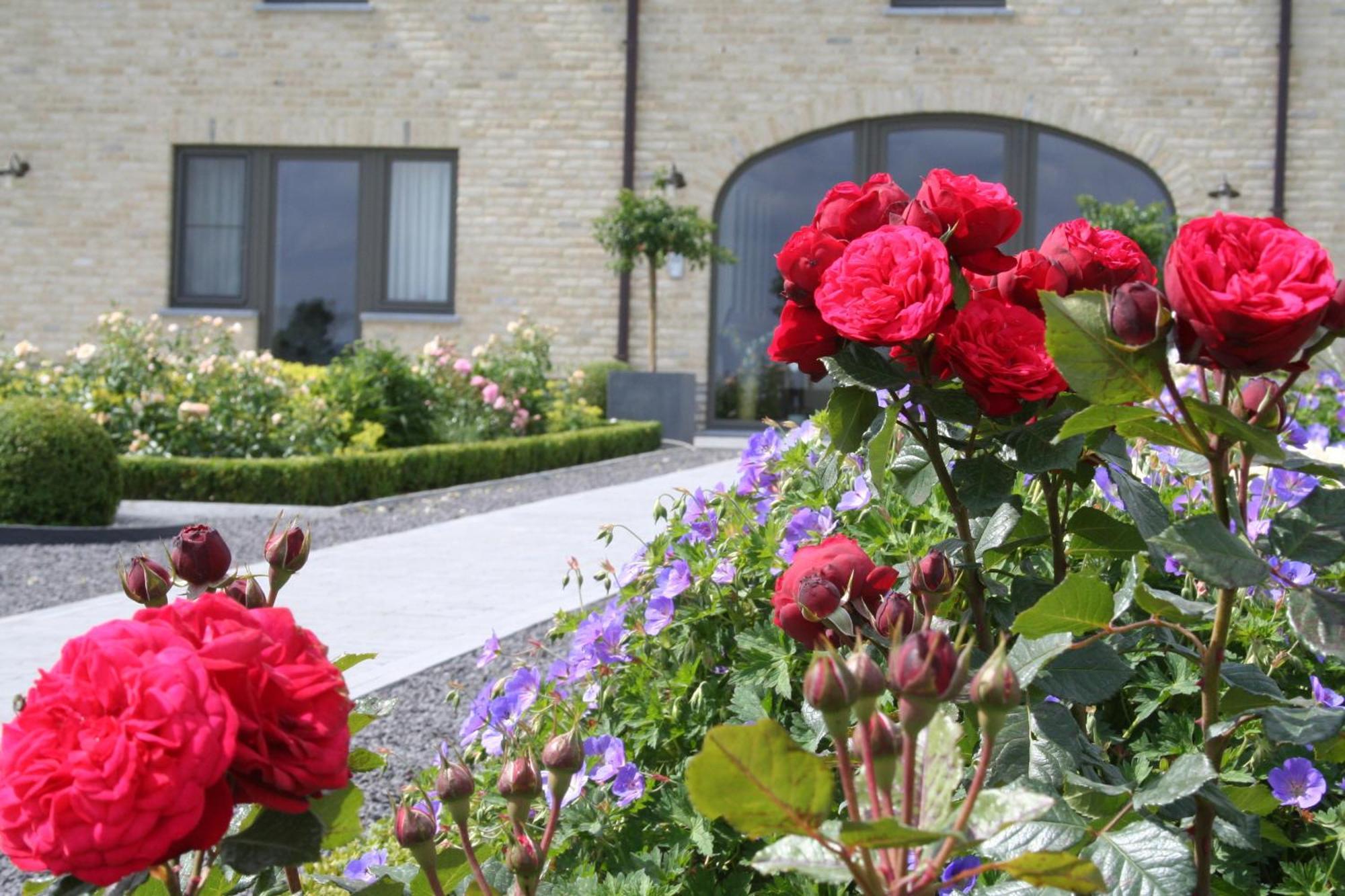B&B La Vie En Roses Moorsel Exterior photo