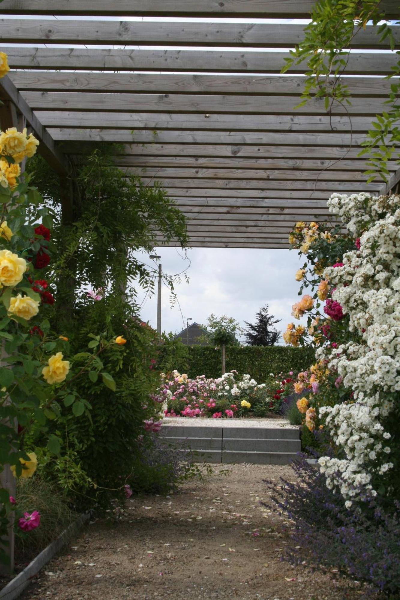 B&B La Vie En Roses Moorsel Exterior photo