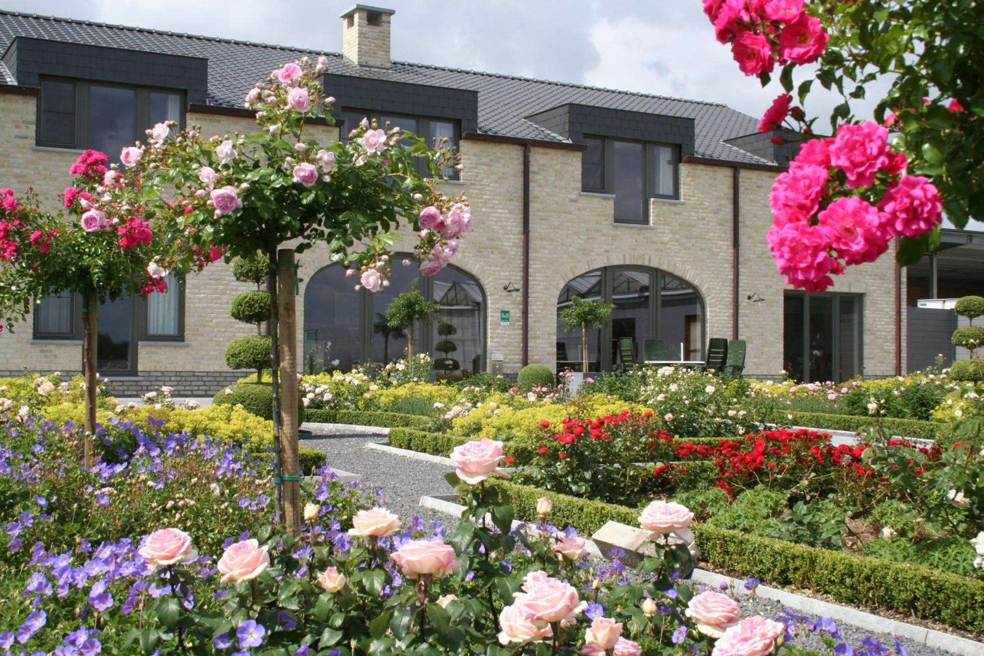 B&B La Vie En Roses Moorsel Exterior photo