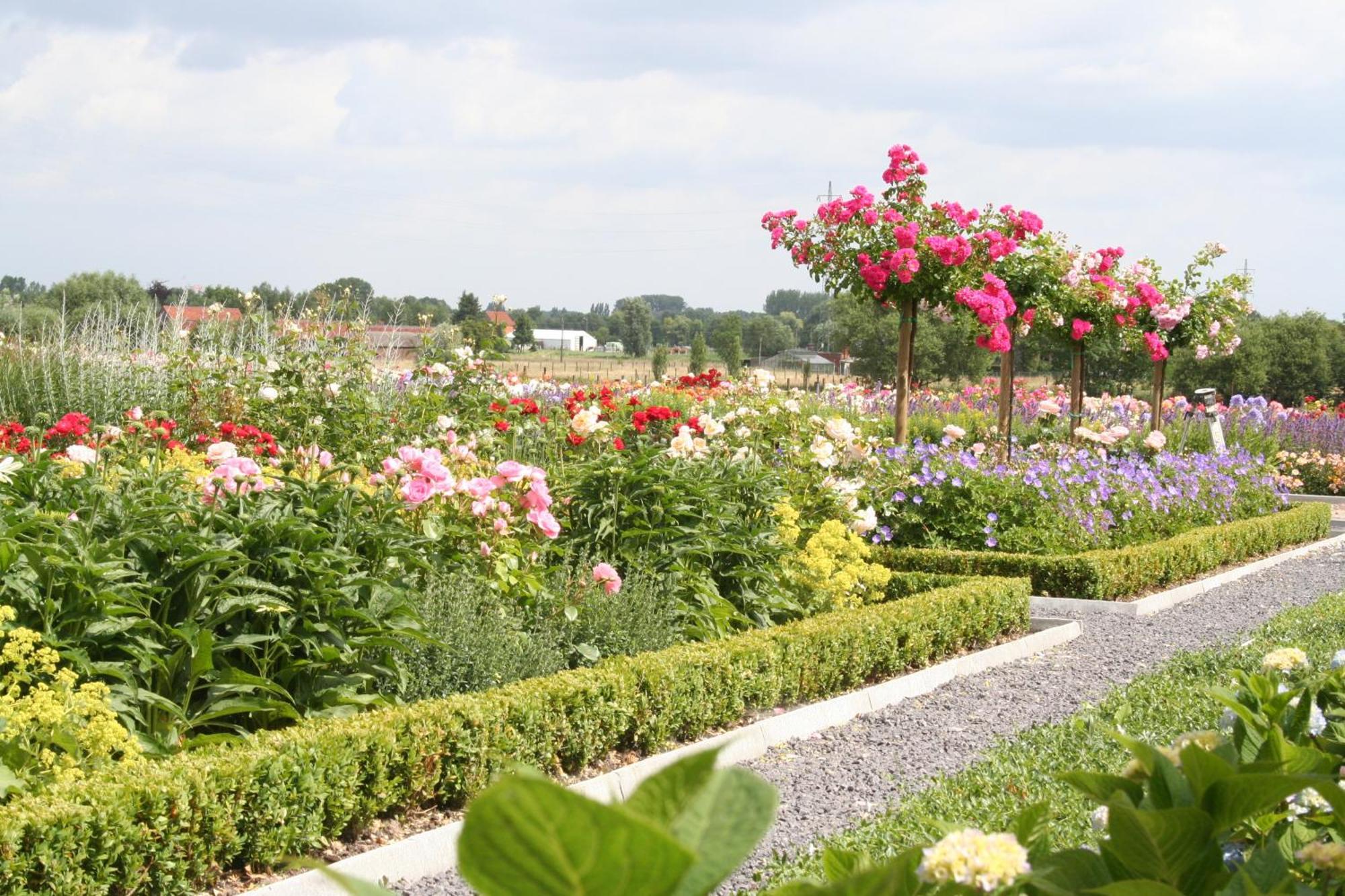B&B La Vie En Roses Moorsel Exterior photo