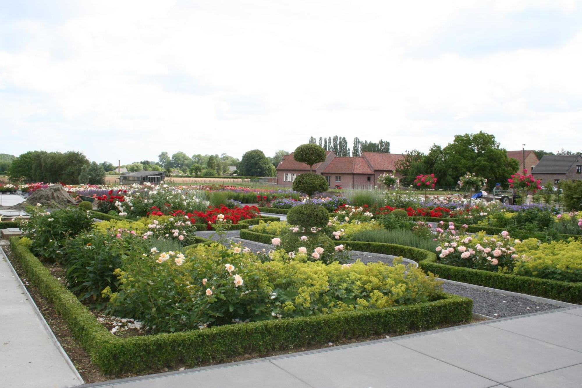 B&B La Vie En Roses Moorsel Exterior photo