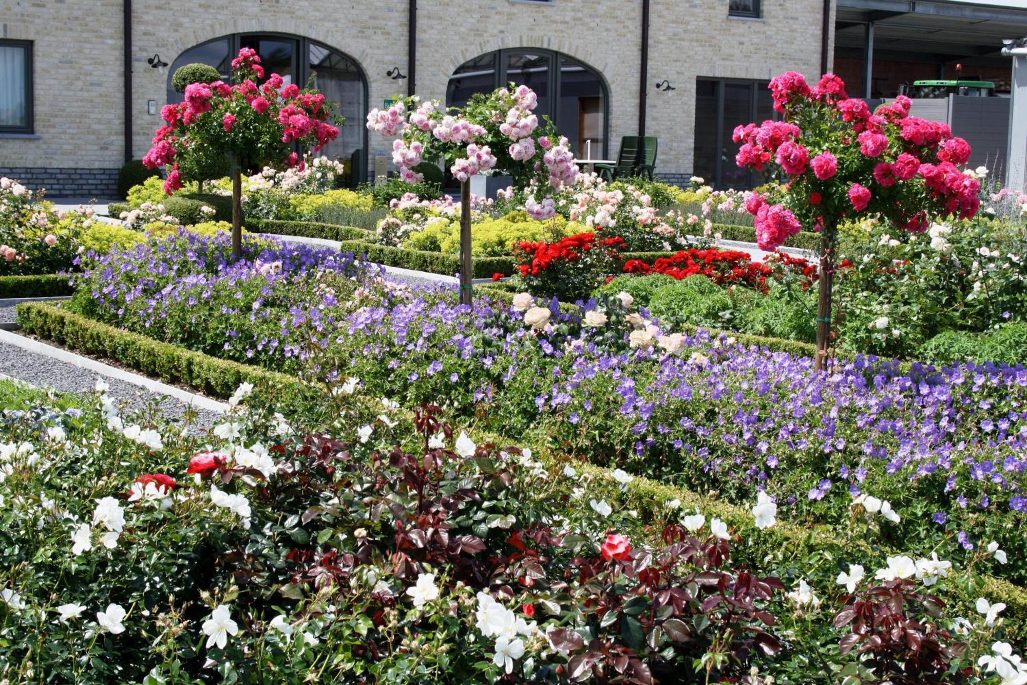 B&B La Vie En Roses Moorsel Exterior photo